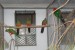 Papagáj Kráľovský obr.1